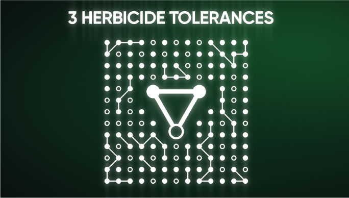 3 herbicide tolerances