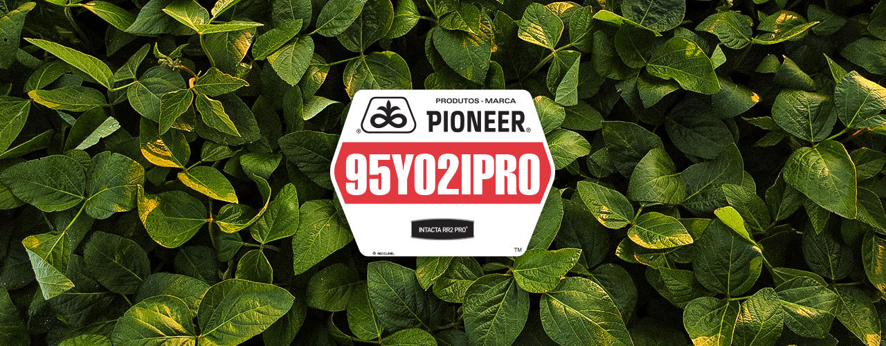 95Y02IPRO