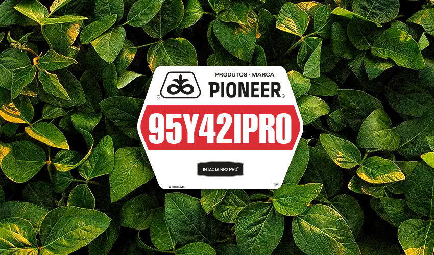 95Y42IPRO