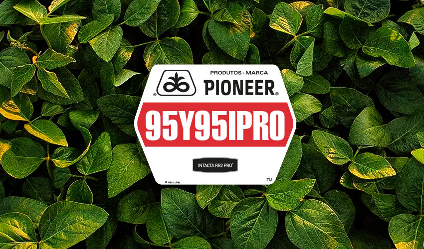 95Y95IPRO