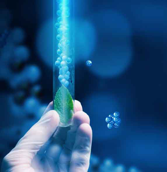 dna hand