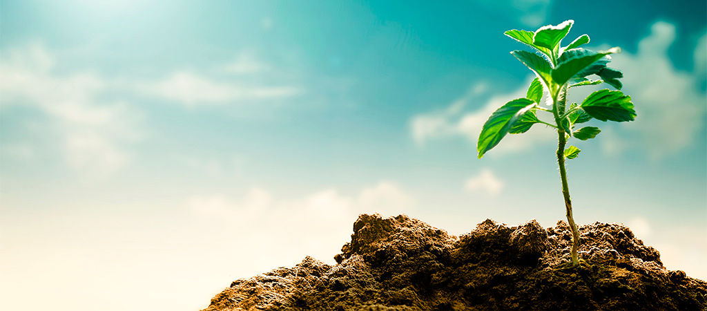 Bioinsumos são caminho sem volta na agricultura global