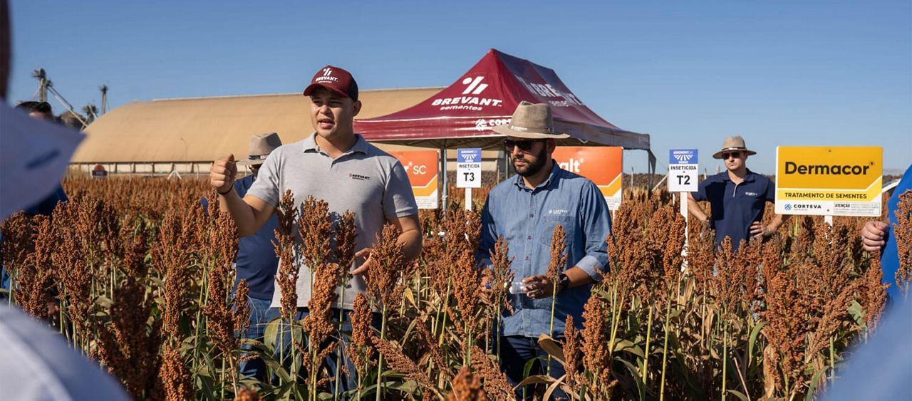 De camisa cinza, Adricson Provenssi, engenheiro agrônomo da Corteva Agriscience™