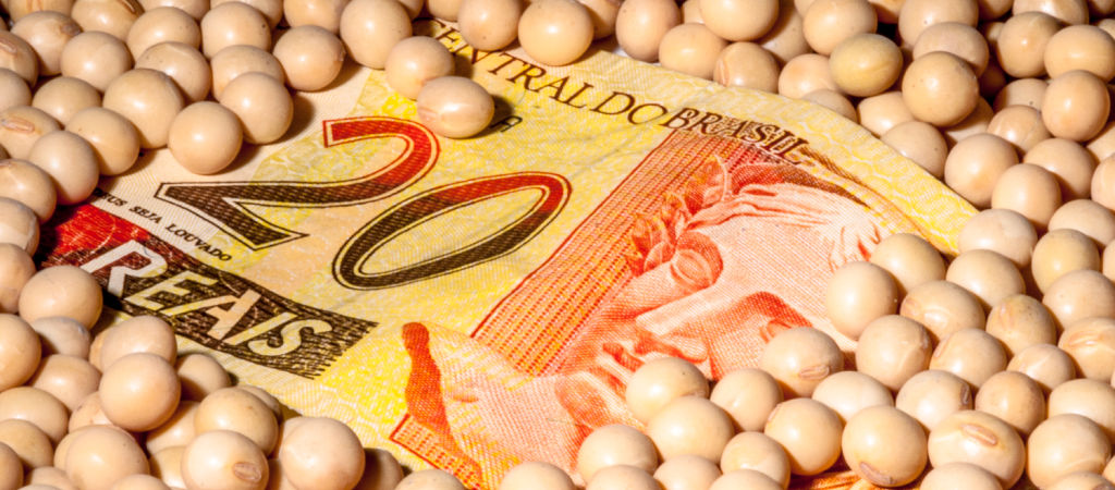 Nota de vinte reais sobre grãos