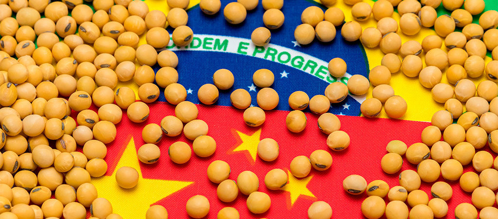 China pede mudanças nos padrões de classificação de grãos de soja