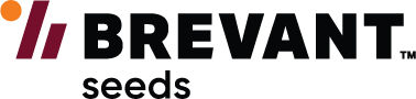 Brevant logo