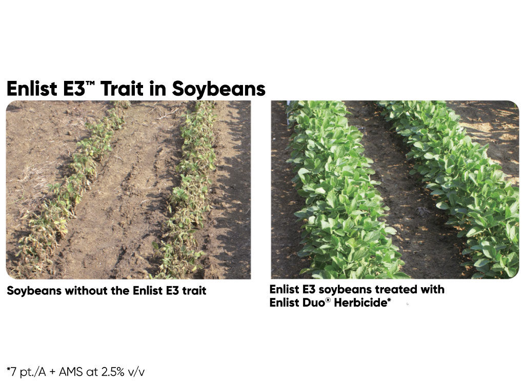 Enlist herbicide comparison