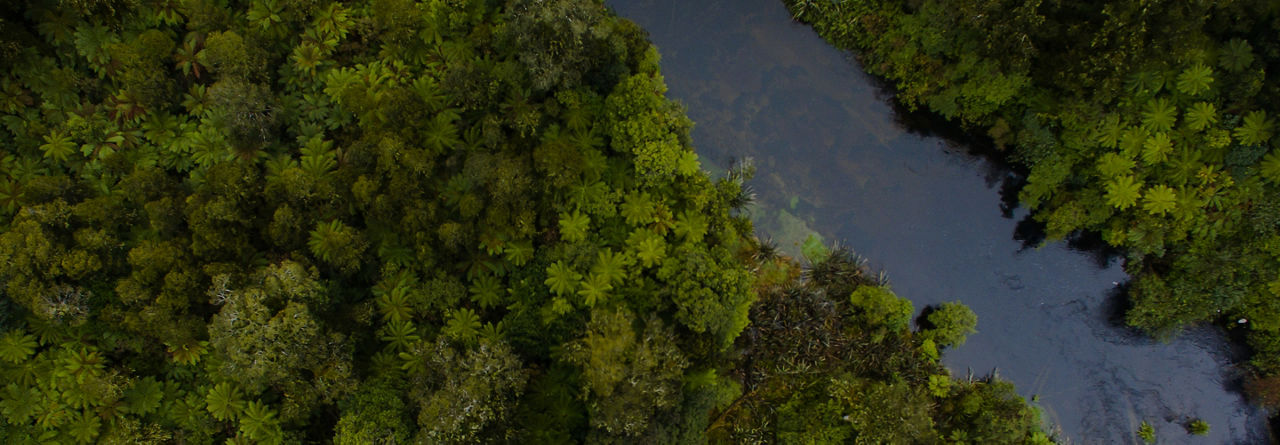 Flowing River