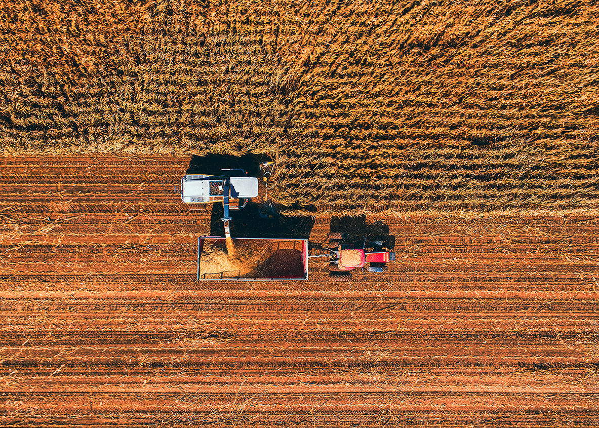 Grain corn Aerial