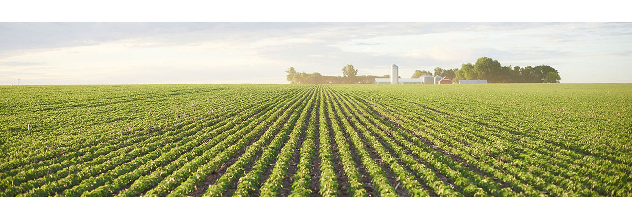 The #1 Soybean Brand has a Trait to Match