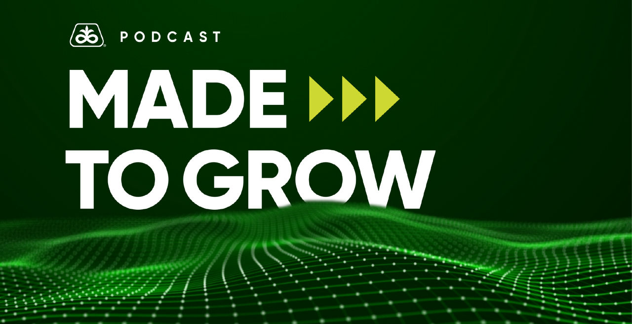 podcast promo image