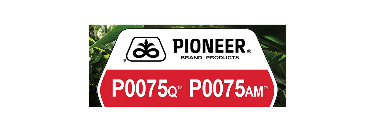 P0075Q & P0075AM