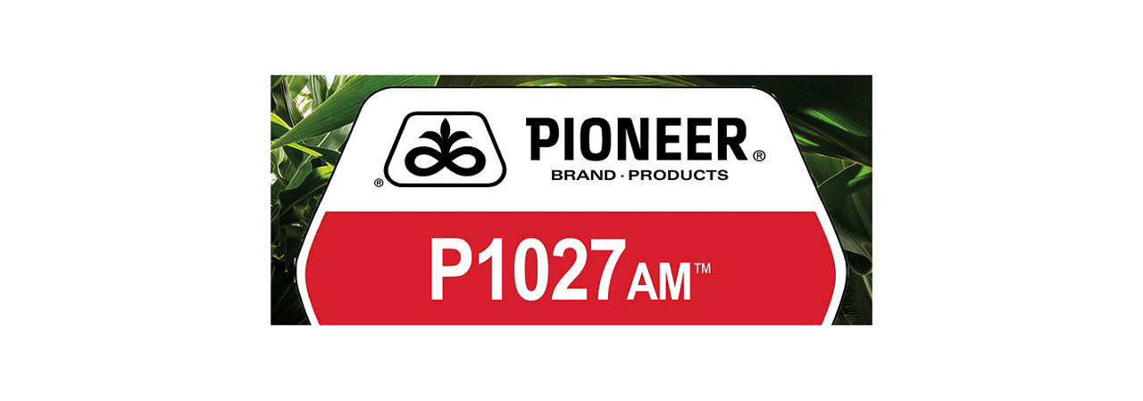P1027AM
