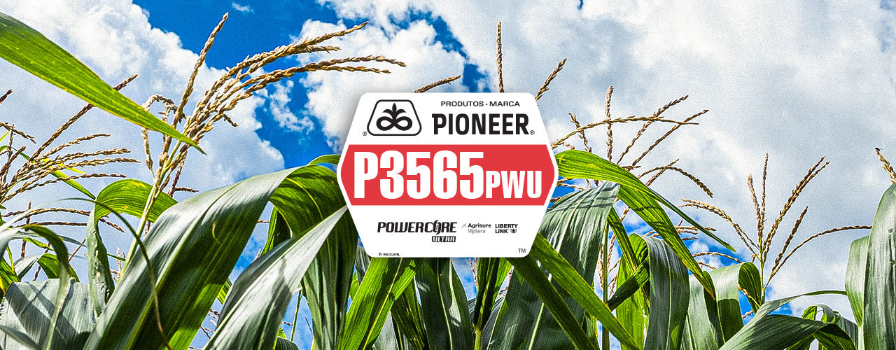 P3565PWU