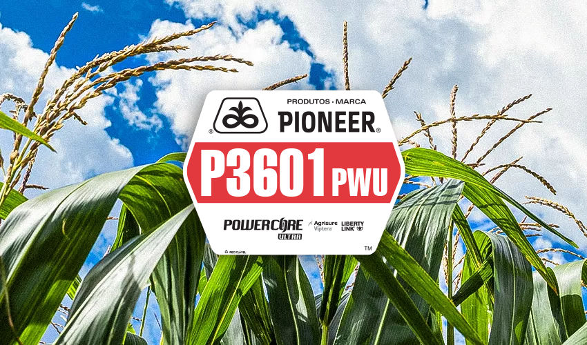 P3601PWU