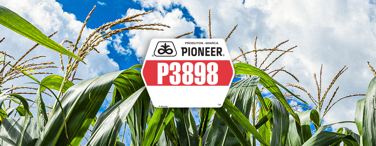 P3898