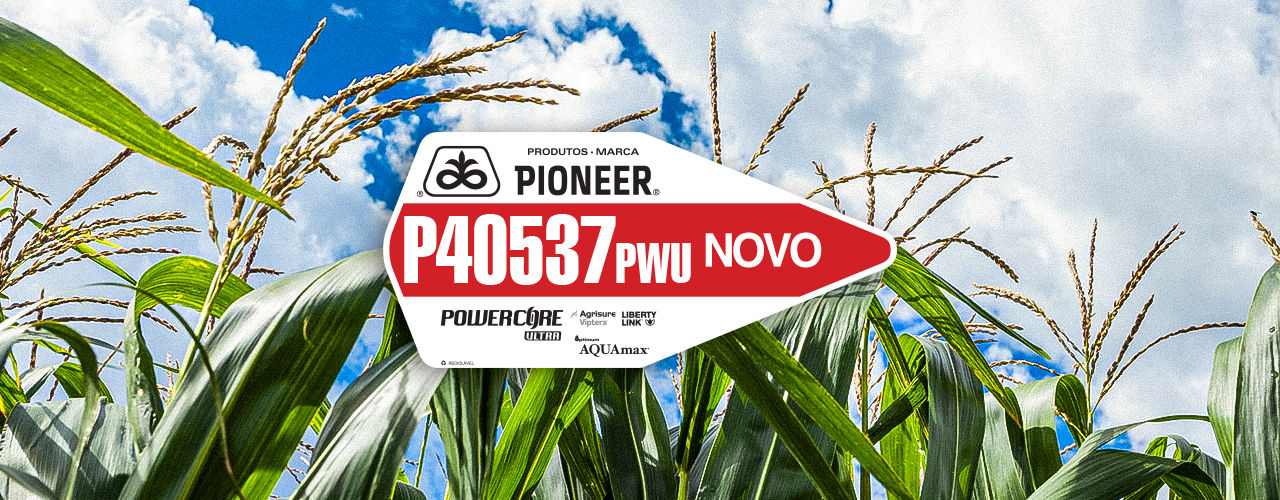 P40537PWU