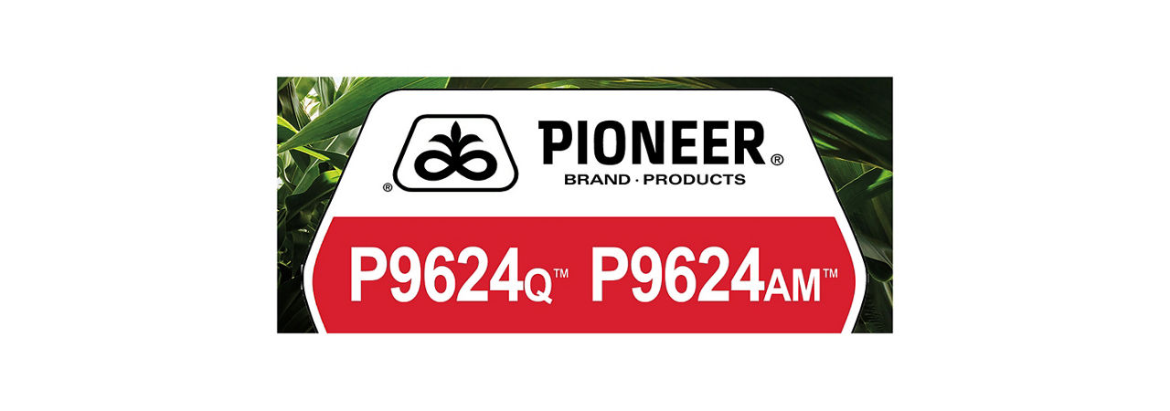 P9624Q & P9624AM