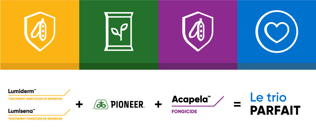 French Acapela, lumiderm, lumisena and pioneer seeds
