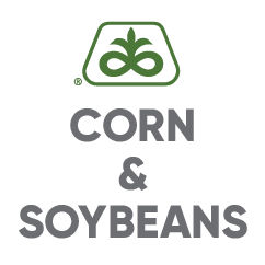 Pioneer brand corn and soybean products