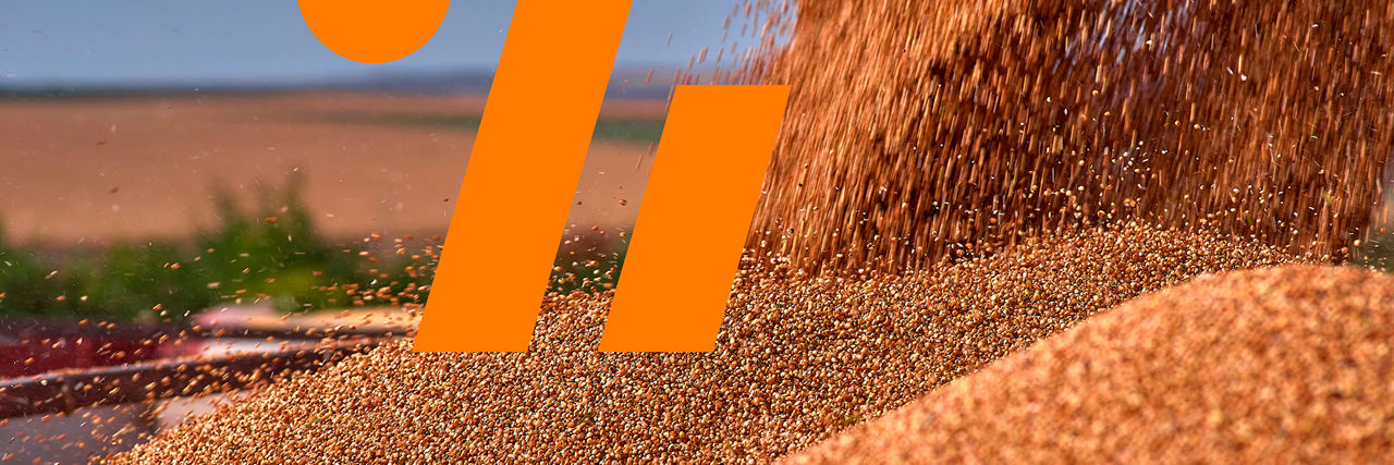 Produtos Sorgo Brevant