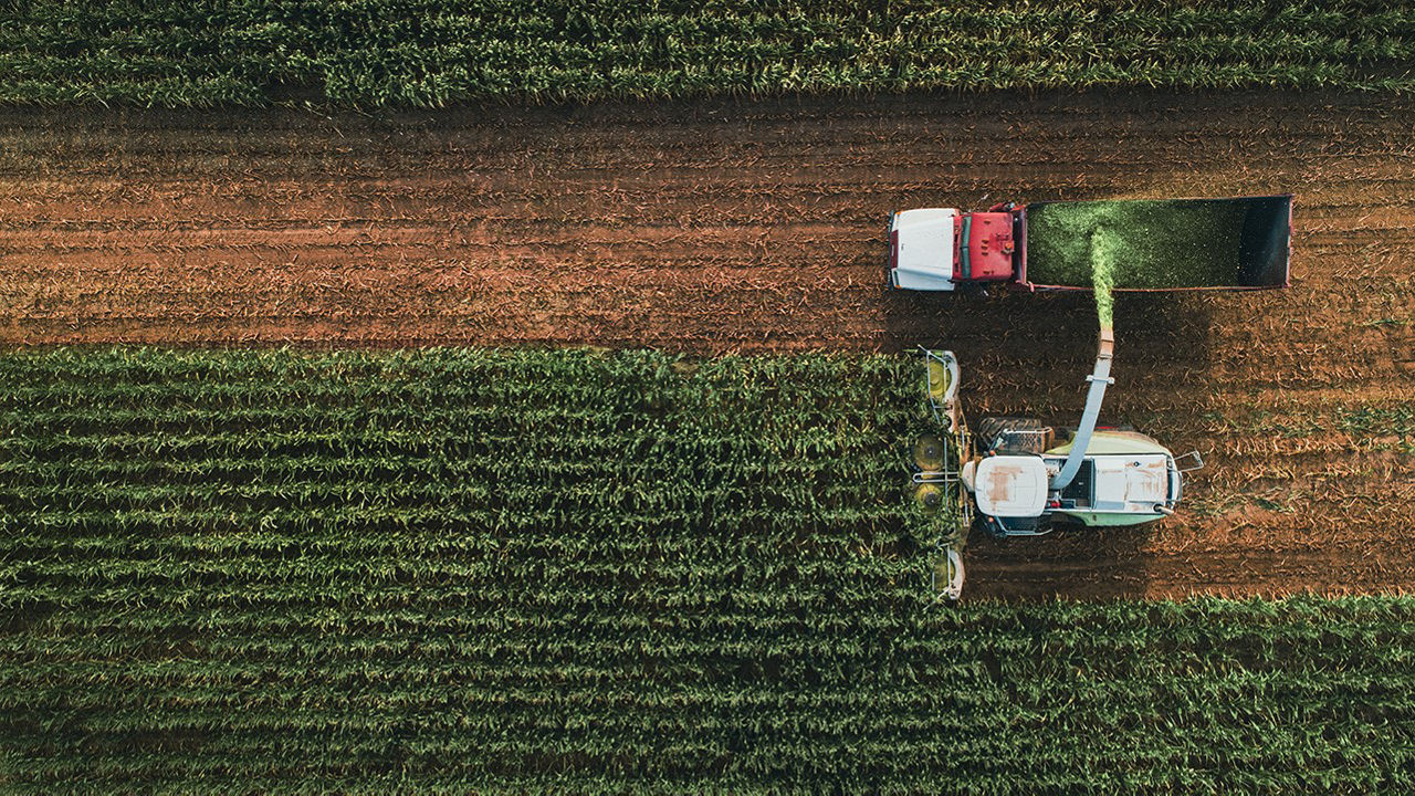 Silage Aerial
