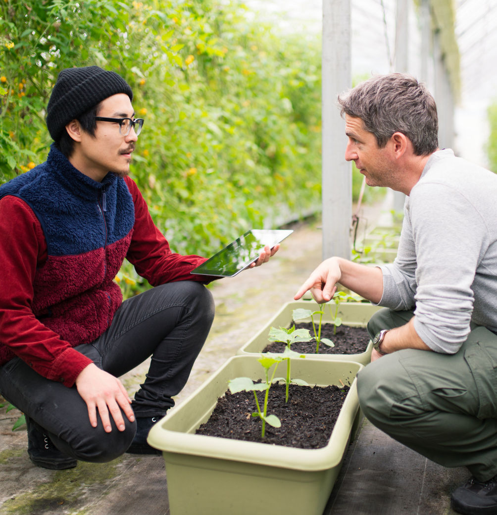 Dos hombres analizando plantas en tubos