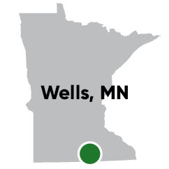 Wells MN