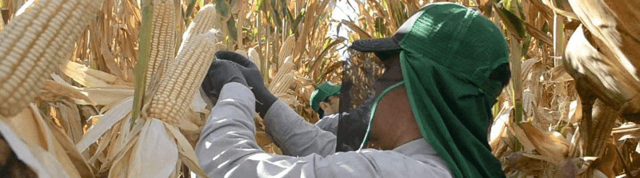 Agricultores