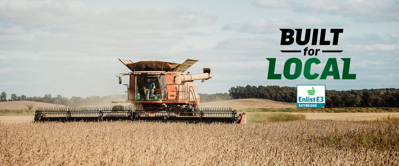 combine in soybean field