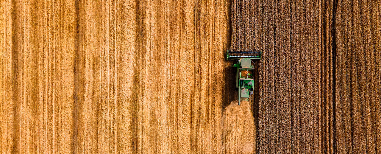 harvesting birds eye view