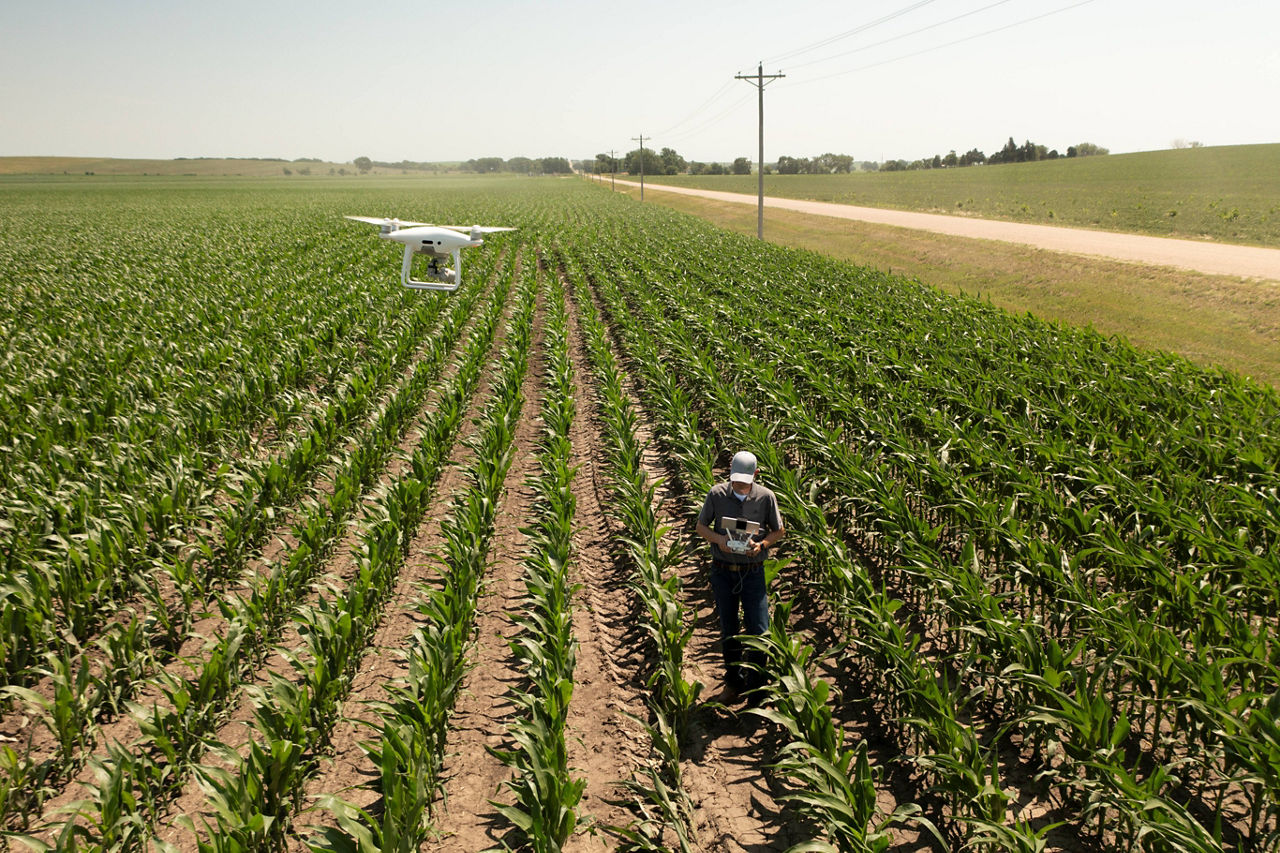 Leading Agronomy Insights