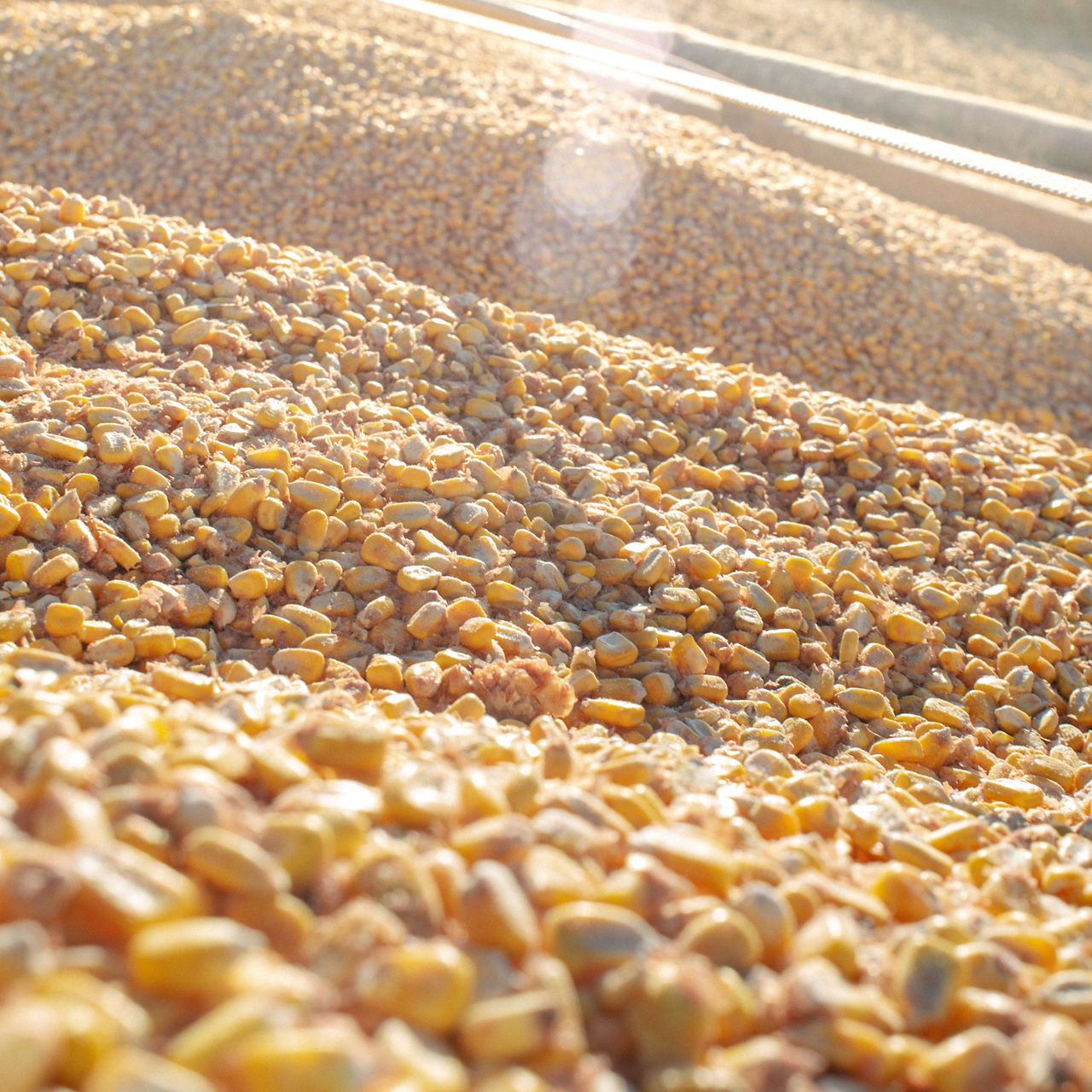 Your Acres. Your Potential. Your Qrome® Products.