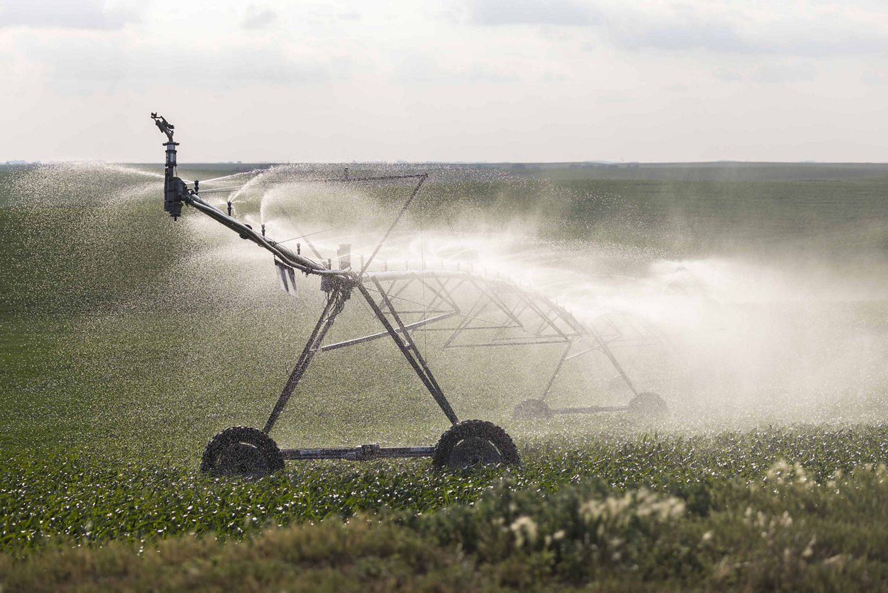 Corn Plant Population Research – Water-Limited Environments