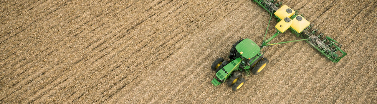 Corn planting in field