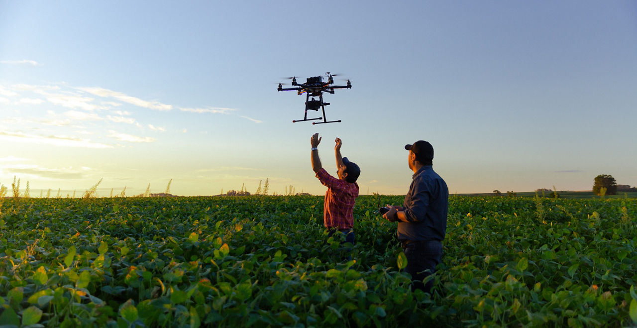 drone in soybean field