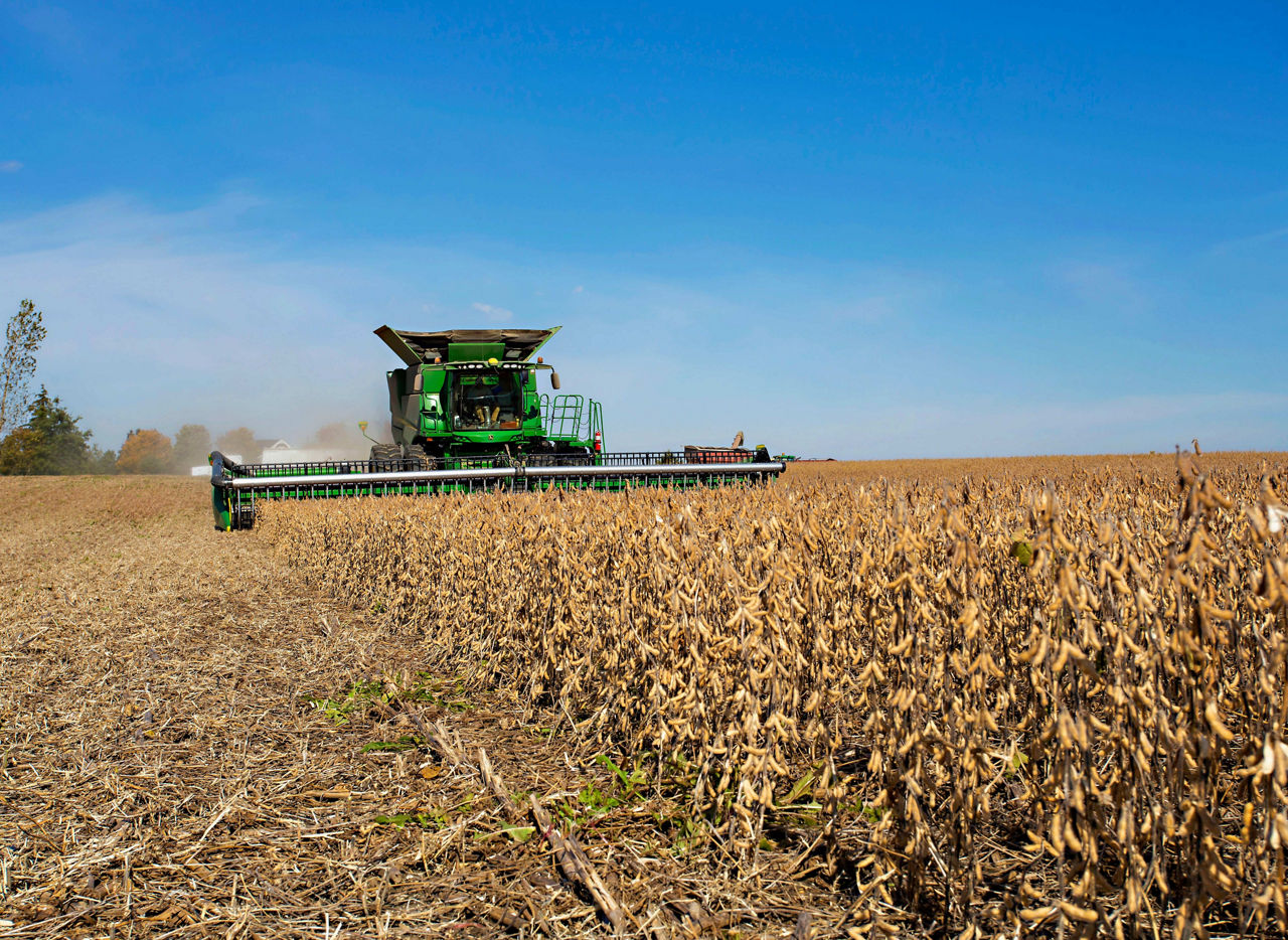 Local Yield Data