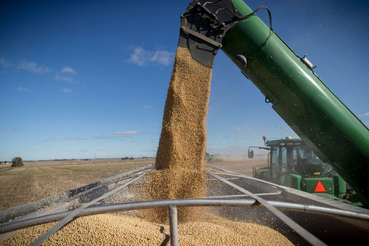 Local Yield Numbers