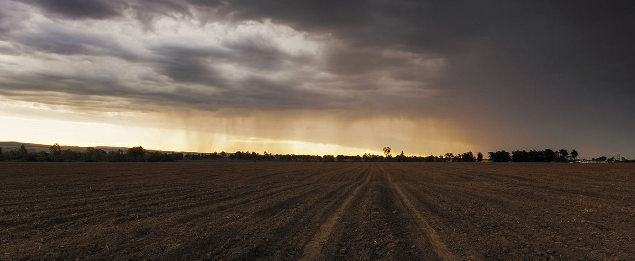 Rain falling in distance of crop field