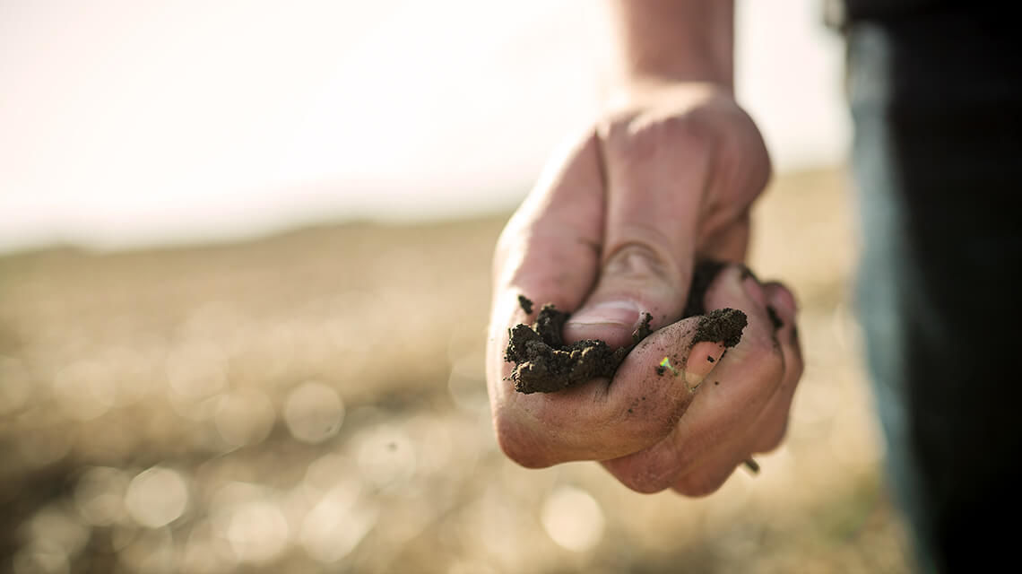 Pinching soil in hand