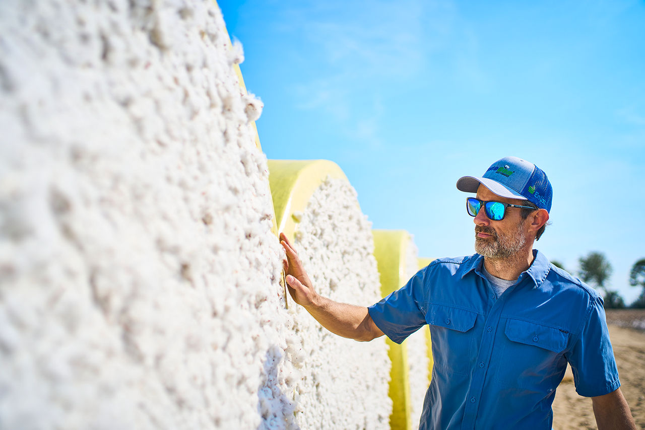 Inspecting coton in field