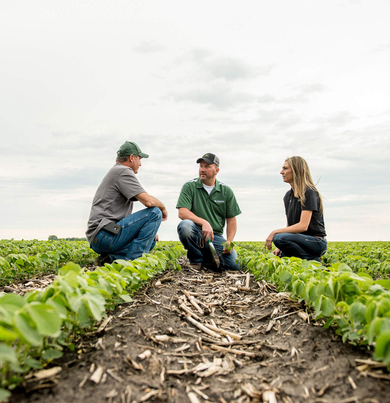 People in emerging soybean field.