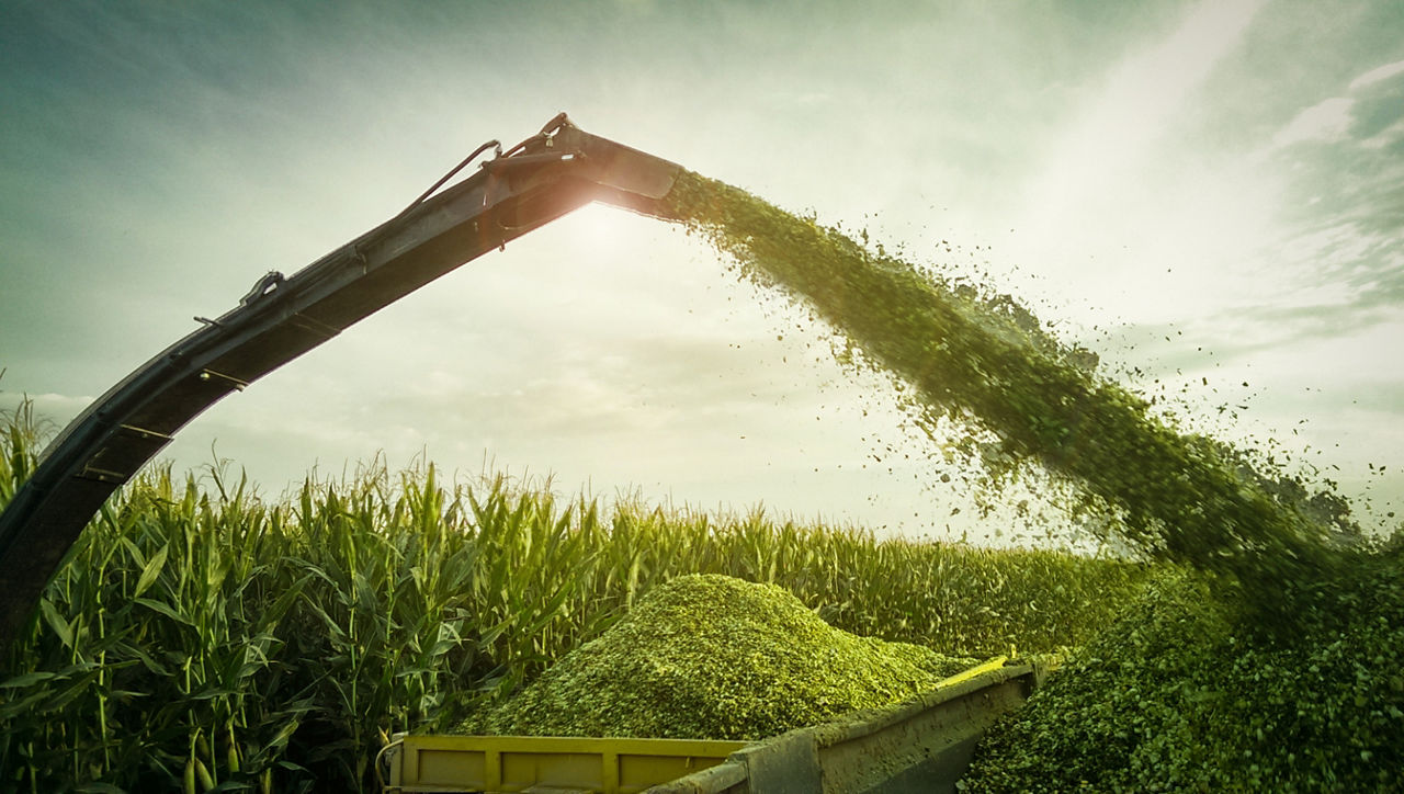 Silage auger