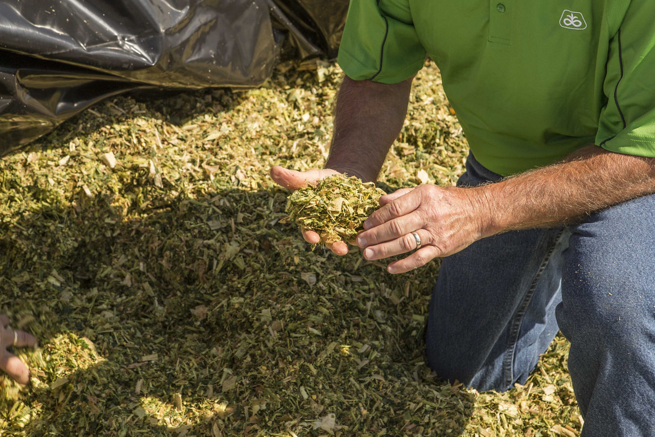 Silage Staging
