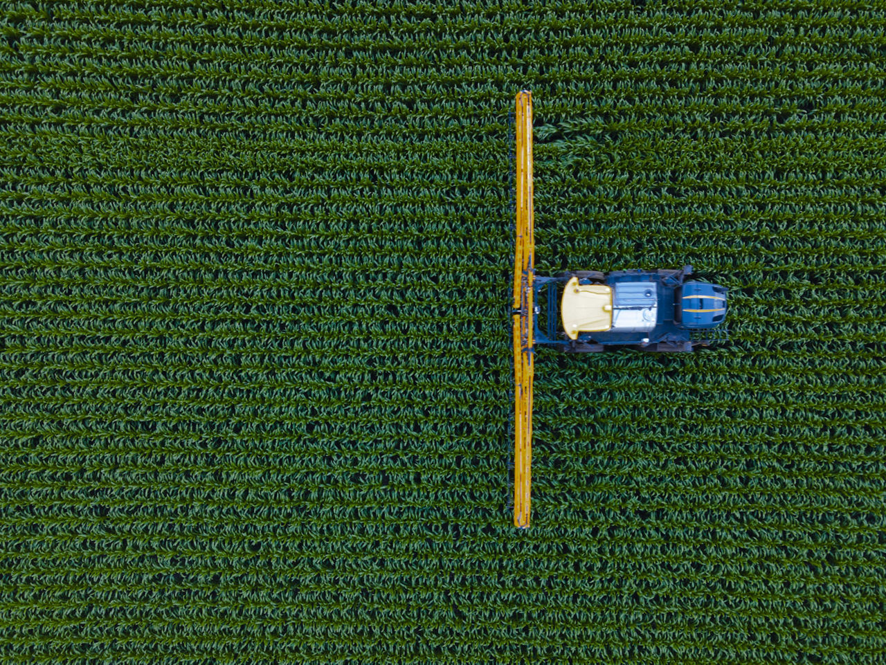 Fungicide Timing