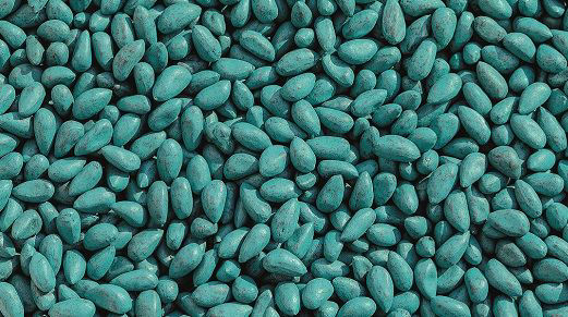 Teal seed treatment