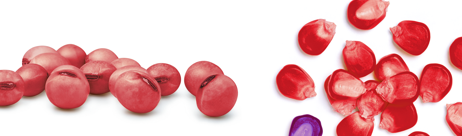 red treated seeds
