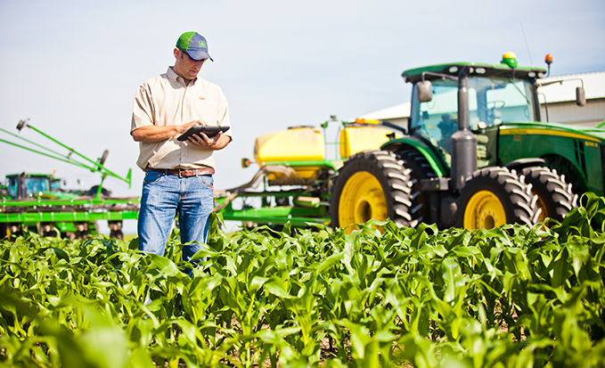 Farmer checking corn field using tablet