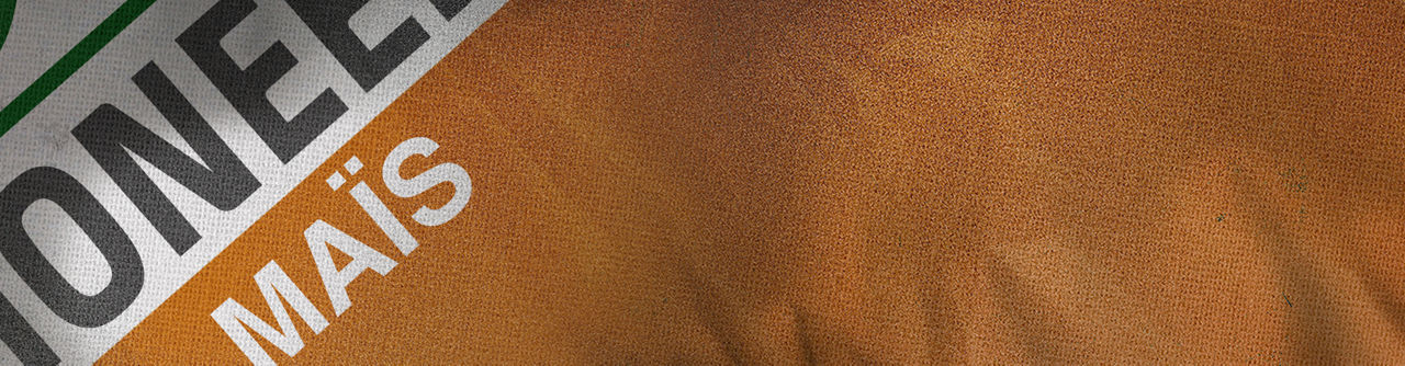 Man walking in emergence corn field