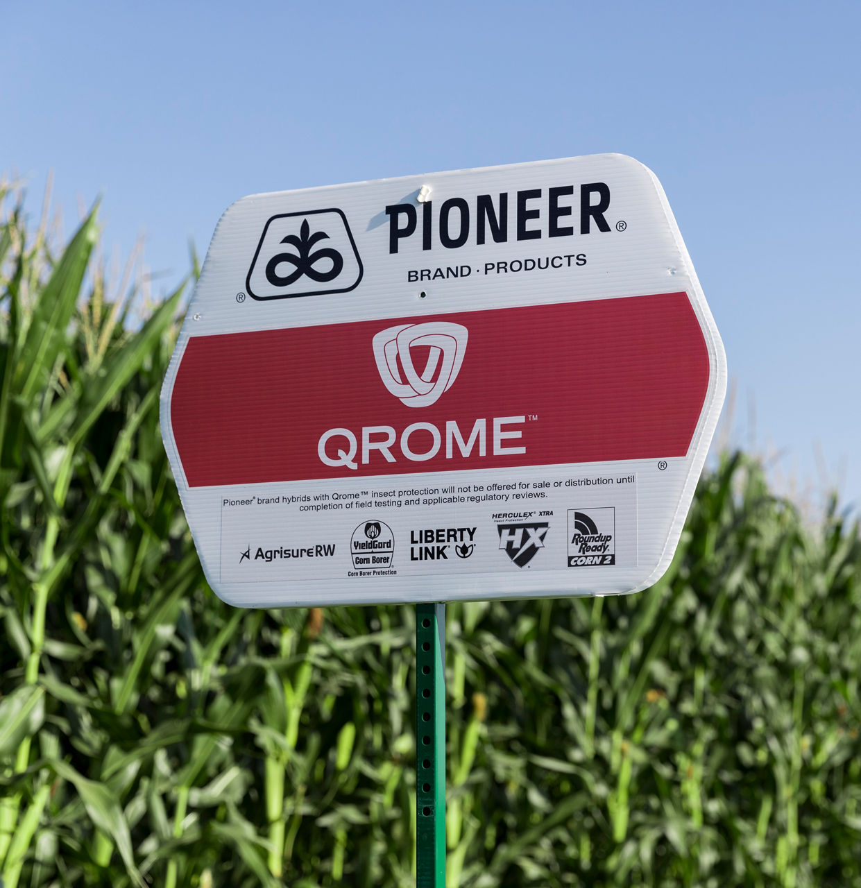 Pioneer Qrome? field sign